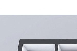A1